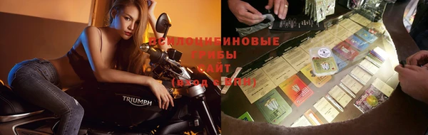 шишки Зеленокумск