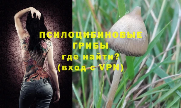 дмт Заволжск