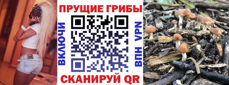 Псилоцибиновые грибы GOLDEN TEACHER  Серпухов 